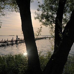 DSC0952