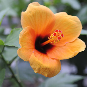 20100513 162720