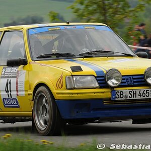 Birkenfelder Löwenrallye - Hoppstädter