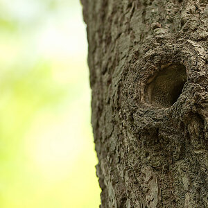 20100509 7728 [NIKON D2Xs]   300 mm  1 160 Sek. bei ƒ   5,0