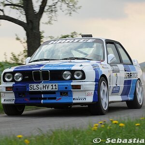 Birkenfelder Löwenrallye - Reiter