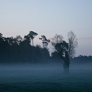 Aprilmorgen 2