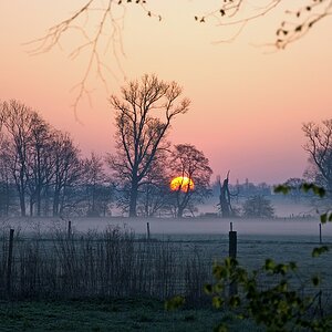 Aprilmorgen 1