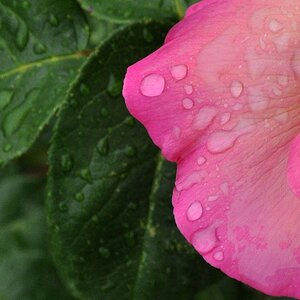 Letzter Regen?