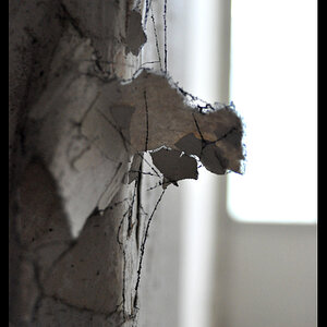 Bild 001