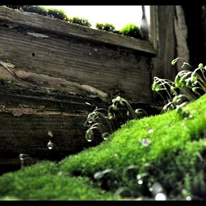 Bild 015