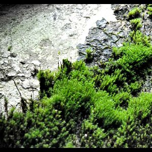 Bild 017