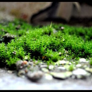 Bild 024
