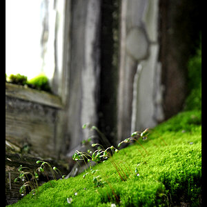 Bild 032