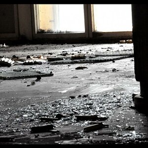 Bild 066