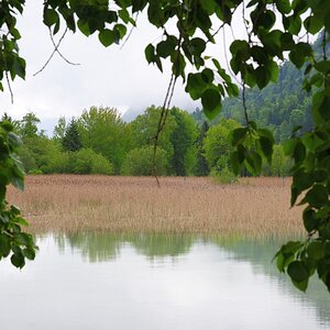 DSC 1752