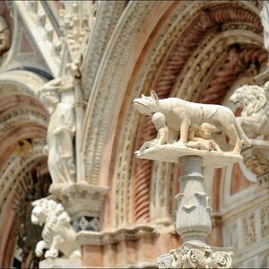 Remus und Romulus mit der etruskischen Wölfin vor dem Dom zu Siena