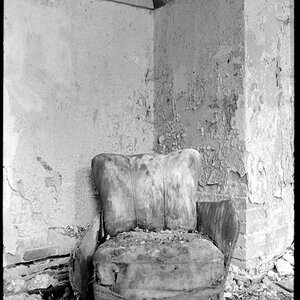 Neg2010 523