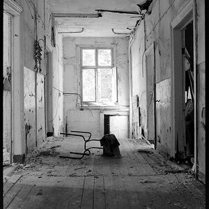 Neg2010 527