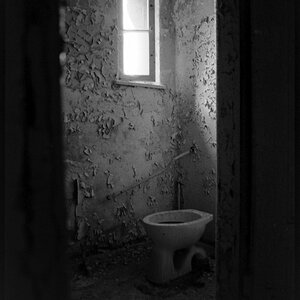 Neg2010 550