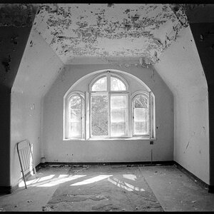 Neg2010 564