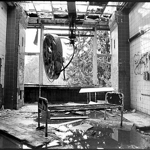 Neg2010 626