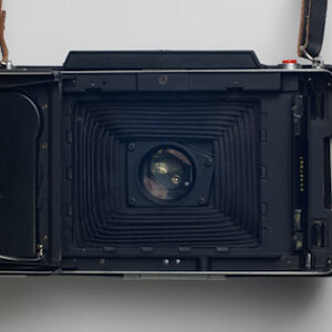 pola1