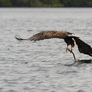 20100517 5853 [NIKON D700]   300 mm  1 640 Sek. bei ƒ   8,0 2