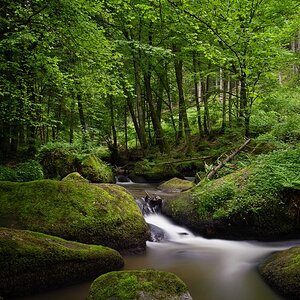 web Otterbachtal 100529 5278