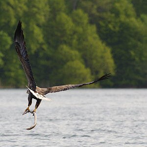 20100517 5856 [NIKON D700]   300 mm  1 640 Sek. bei ƒ   8,0 3