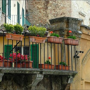 Siena