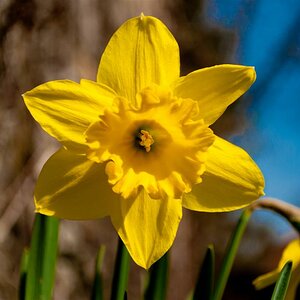 Frühling