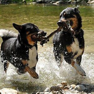 Vater und Sohn