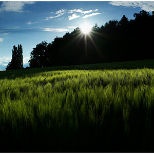 sOnnENscHeiN 1