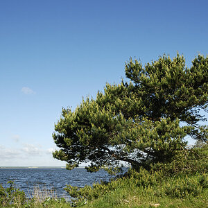 20100529 19 Usedom