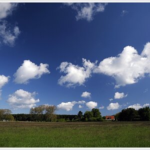 DSC7745 nff