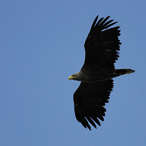 20100529 28 Usedom