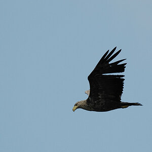 20100529 30 Usedom