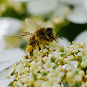 20100523 151932