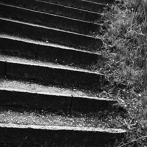 Weg nach oben
DSC 7708 Kopie web
http://www.nikon-fotografie.de/vbulletin/showpost.php?p=1311108&postcount=6493