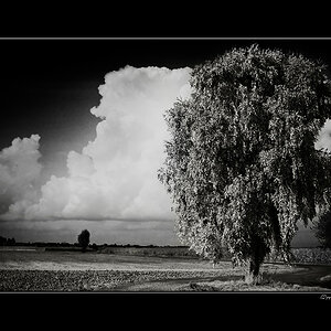 20081014140331 4381 g1