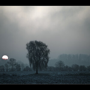 20090103091513 8968 g1000x666x231kb