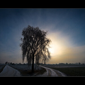 20090103115611 9228 g1000x667x250kb