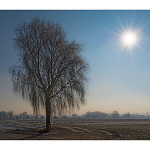 20090110132846 9336 g1000x666x295kb