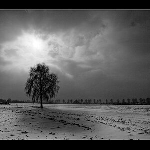20090214125352 0690 g1000x666x254kb
