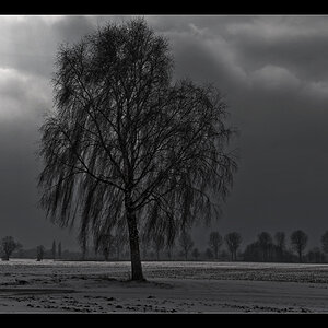 20090214125520 0692 g11000x666x254kb