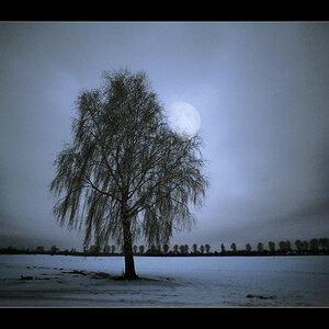 20090221181110 0864 g1000x666x267kb