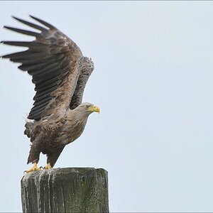 acomp usedom 0308b