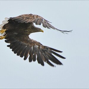 acomp usedom 0312b