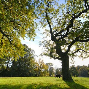 Hamburg, Othmarschen, Jenischpark