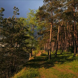 acomp usedom 2549