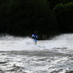 comp DSC 6174