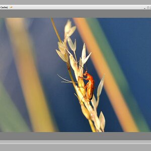 Making of