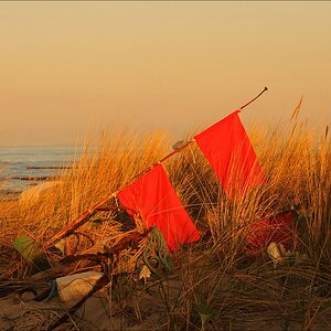 acomp usedom 1602
