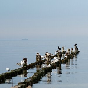 Usedom DSC 3307